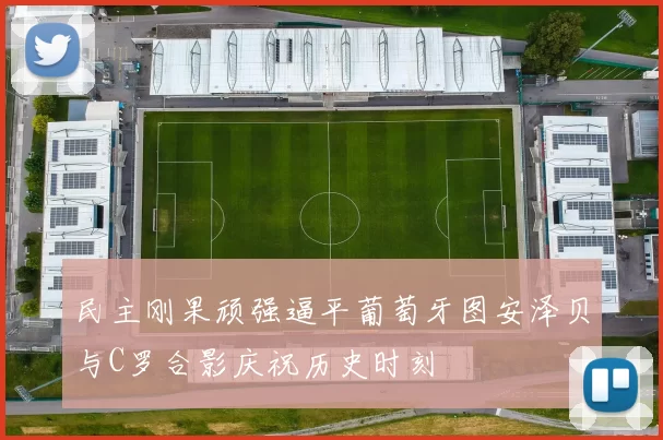 民主刚果顽强逼平葡萄牙图安泽贝与C罗合影庆祝历史时刻